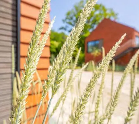 De Ole School Ferienapartments Large-apartment 28 , Huus Blomen Daire *