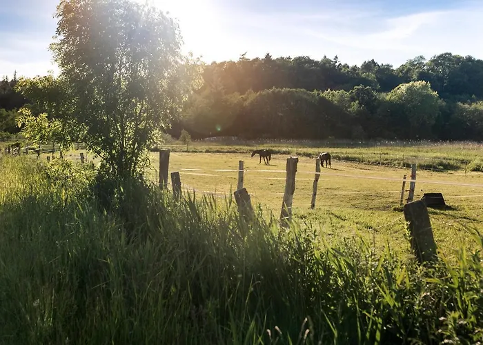Appartement De Ole School Ferienapartments Large-apartment 28 , Huus Blomen Hohwacht